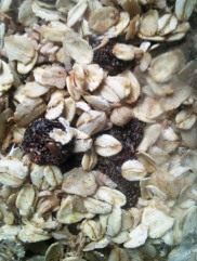 oats-granola